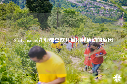 乐东企业都喜欢开展团建活动的原因